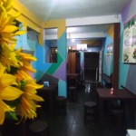 TACOMEX San Pedro La Laguna dining room 1