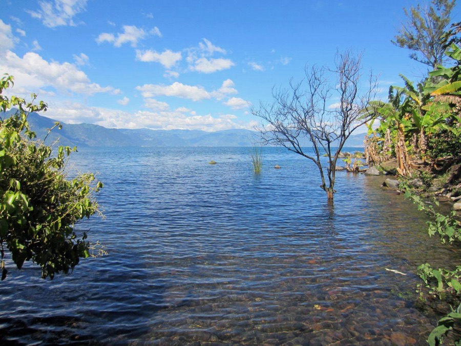 Clear shallow water at the shore of Lake Atitlán