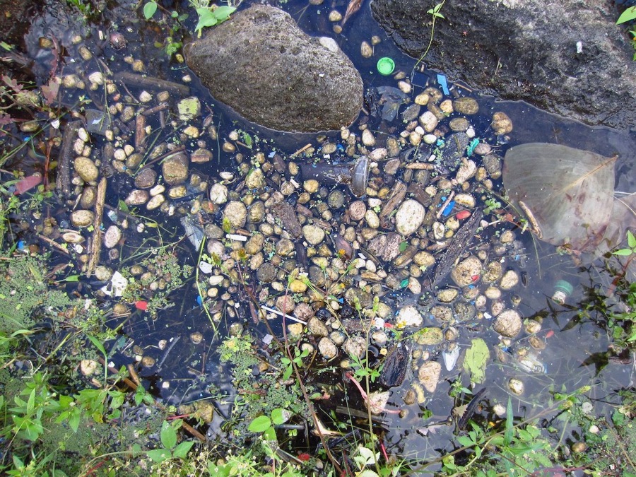 Plastic fragments and other debris among pebbles in shallow water