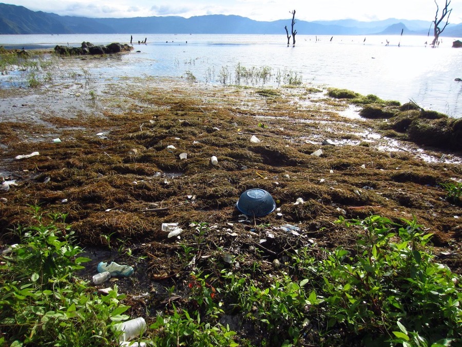 A plastic basket and other trash on a mat of plant debris at the edge of Lake Atitlán
